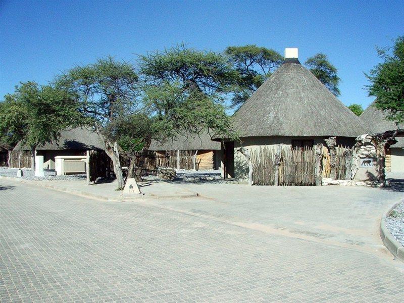 فندق Halali Camp Etosha المظهر الخارجي الصورة