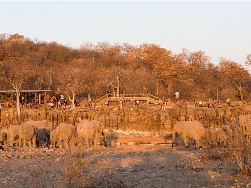 فندق Halali Camp Etosha المظهر الخارجي الصورة